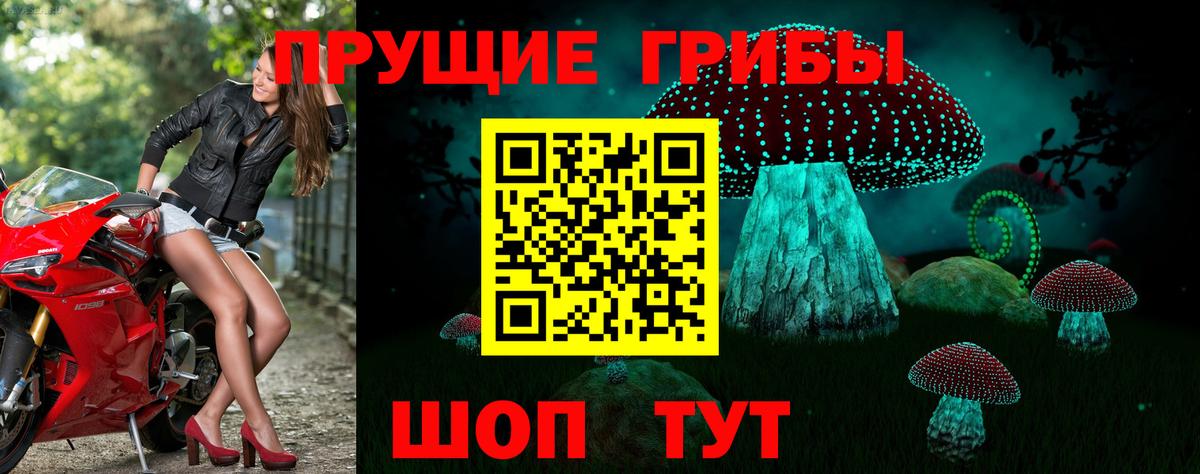 Галлюциногенные грибы Cubensis  Псилоцибиновые грибы ЛСД  Вход с VPN  Богданович 